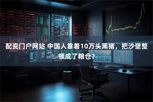 配资门户网站 中国人靠着10万头黑猪，把沙壁整顿成了粮仓？