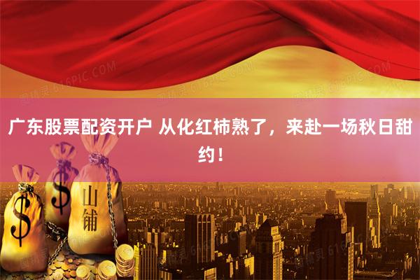 广东股票配资开户 从化红柿熟了，来赴一场秋日甜约！