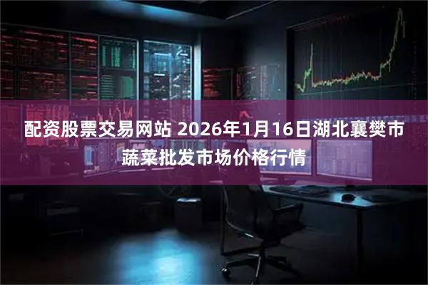 配资股票交易网站 2026年1月16日湖北襄樊市蔬菜批发市场价格行情