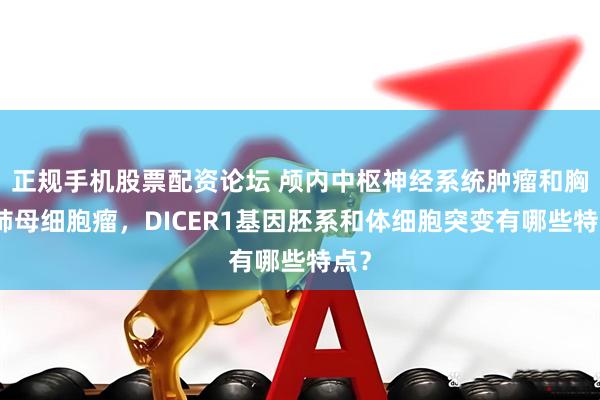 正规手机股票配资论坛 颅内中枢神经系统肿瘤和胸膜肺母细胞瘤，DICER1基因胚系和体细胞突变有哪些特点？
