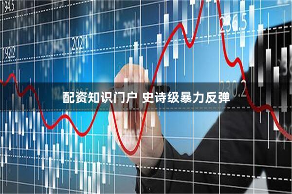 配资知识门户 史诗级暴力反弹